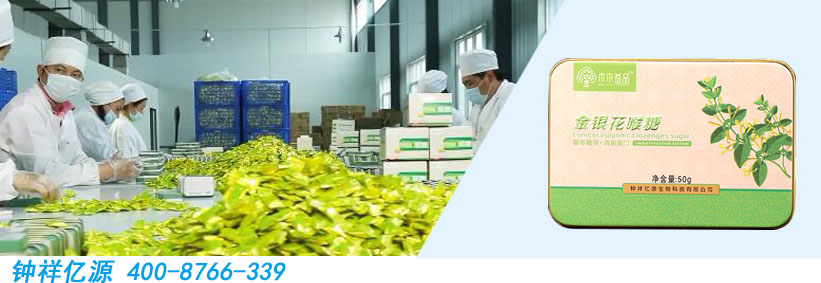 金銀花潤(rùn)喉糖.jpg 金銀花潤(rùn)喉糖.jpg