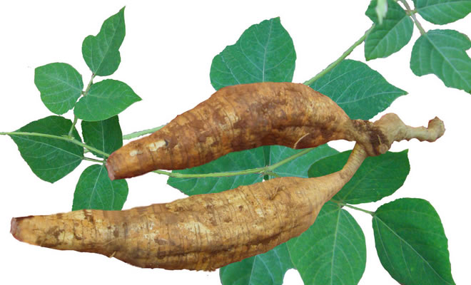 葛根壓片代加工